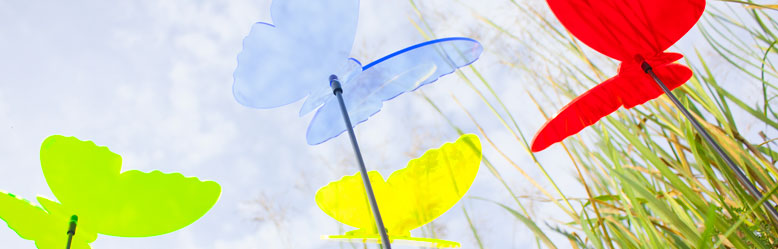 Schmetterlinge Schmetterlinge