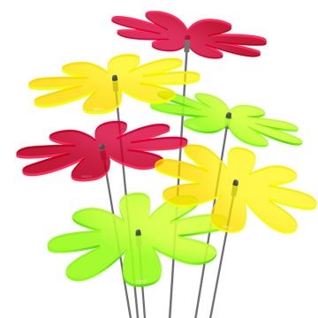 Sonnenfänger Gänseblümchen