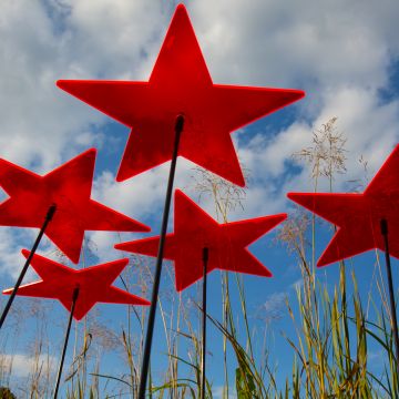 Sonnenfänger Sterne rot