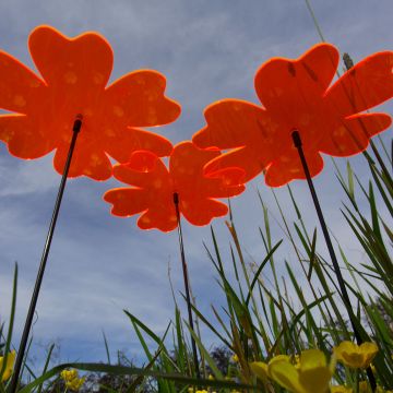 Sonnenfänger Blumen