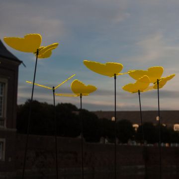 Sonnenfänger Schmetterlinge