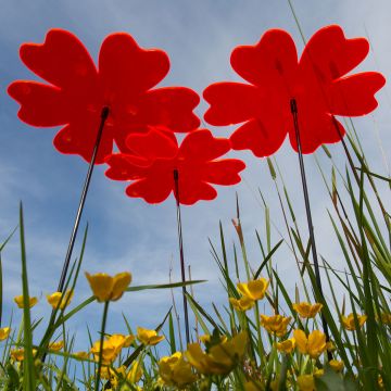 Sonnenfänger Blumen