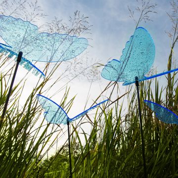 Sonnenfänger Schmetterlinge