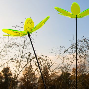 Lotusblume Sonnenfänger