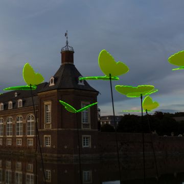 Sonnenfänger Schmetterlinge