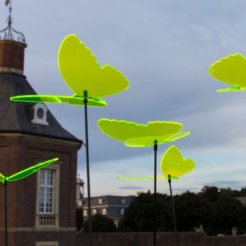 Sonnenfänger Schmetterlinge