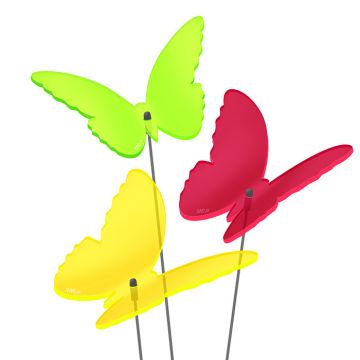 Sonnenfänger Schmetterlinge