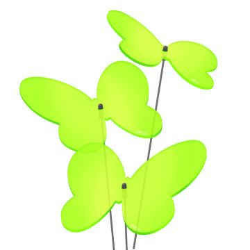 Sonnenfänger Schmetterlinge