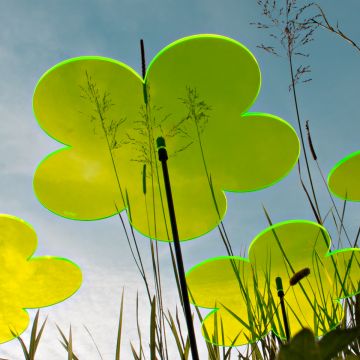 Sonnenfänger Blumen