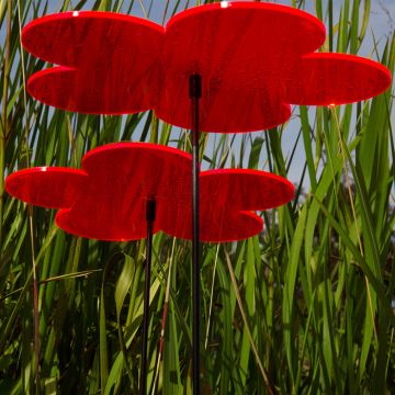Sunplay Blumen rot