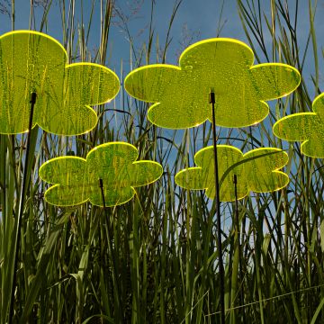 Sonnenfänger Blumen