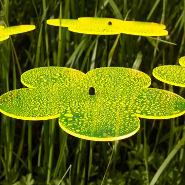 Sonnenfänger Blumen