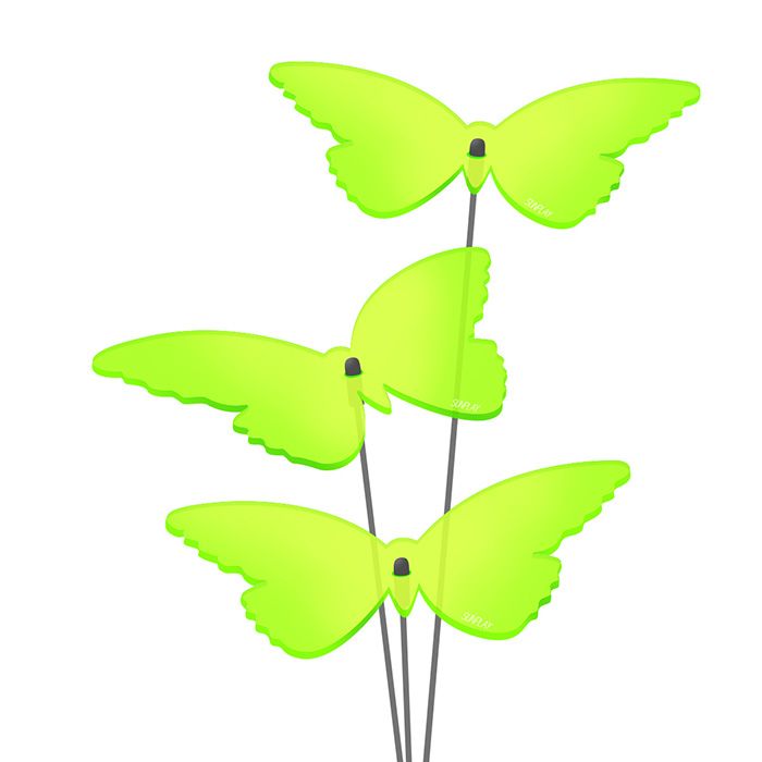 Sonnenfänger Schmetterlinge