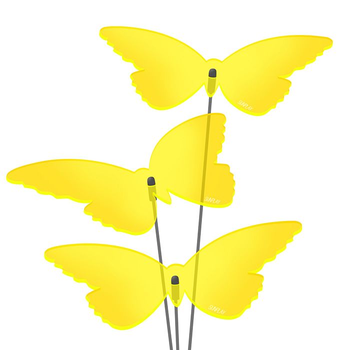 Sonnenfänger Schmetterlinge