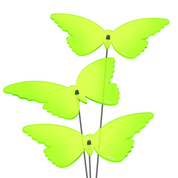 Sonnenfänger Schmetterlinge