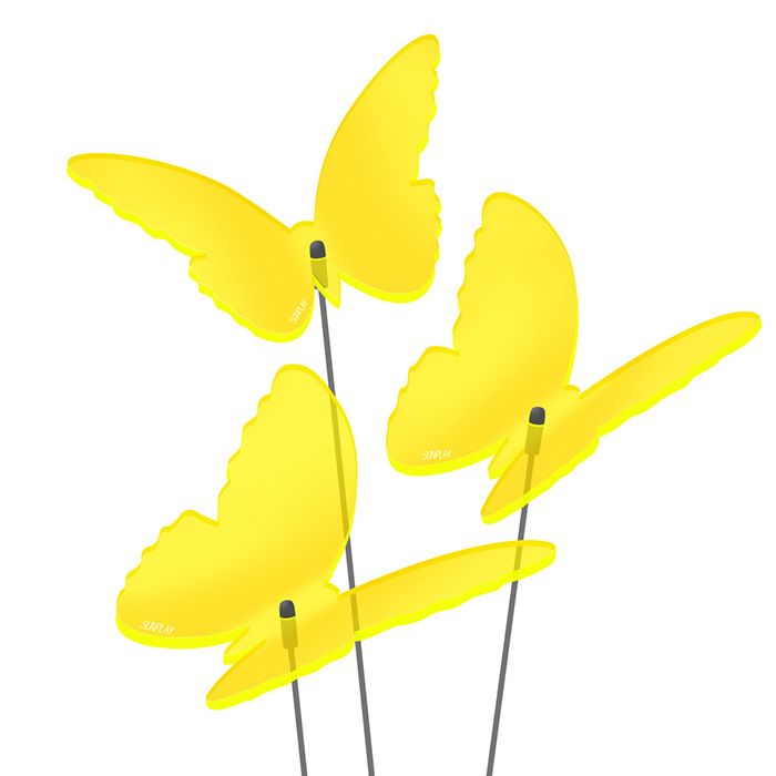Sonnenfänger Schmetterlinge