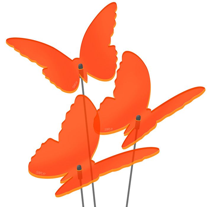 Sonnenfänger Schmetterlinge