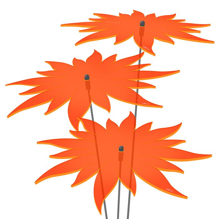 Sonnenblumen Sonnenfänger